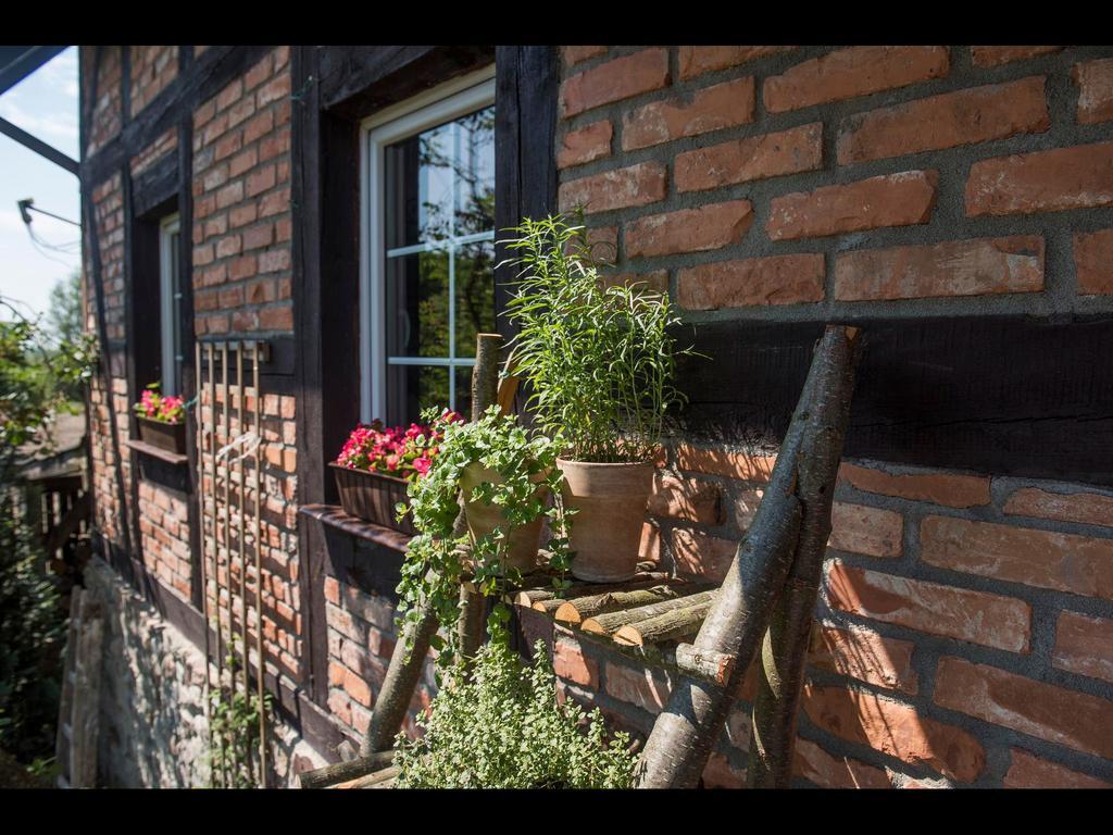 Zagroda U Macieja Ustka Exterior foto